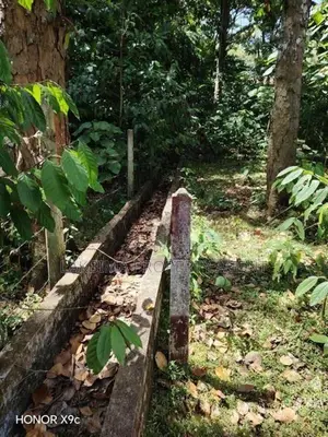 Land for Sale Kandy
