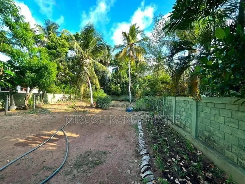 Prime Residential Land for Sale Negambo