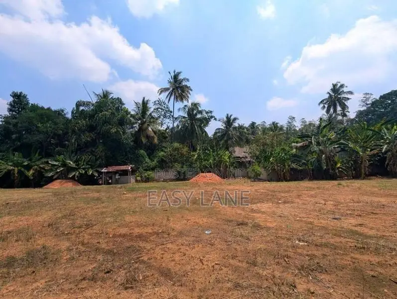 මීරිගම නගරයට ආසන්න විශාල ඉඩමක් / KM 11543