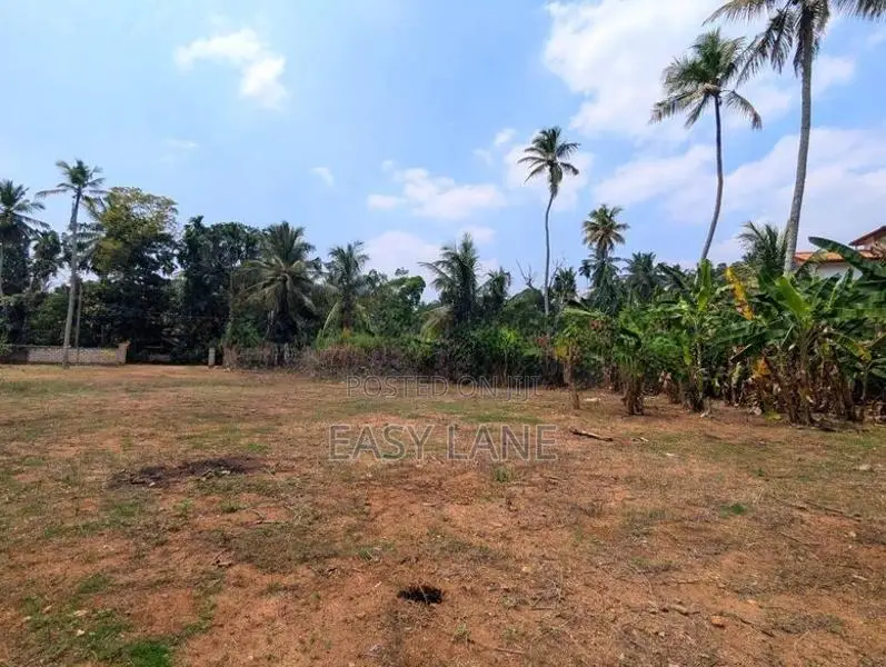 මීරිගම නගරයට ආසන්න විශාල ඉඩමක් / KM 11543