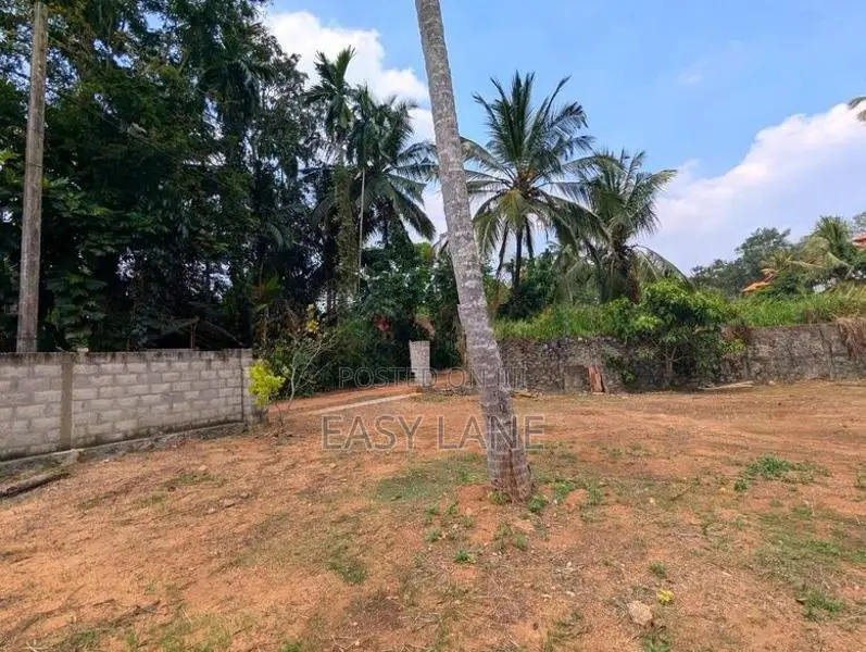 මීරිගම නගරයට ආසන්න විශාල ඉඩමක් / KM 11543