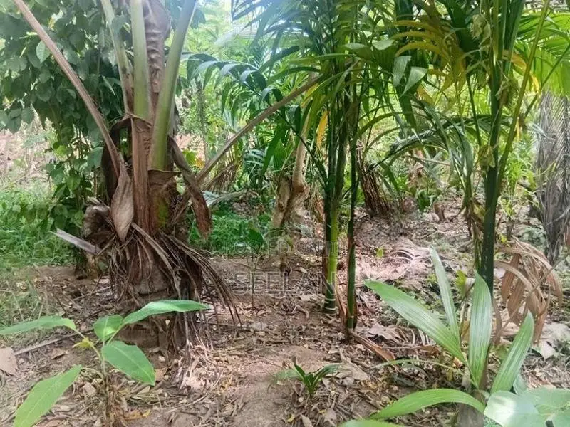 Land or Sale Monaragala