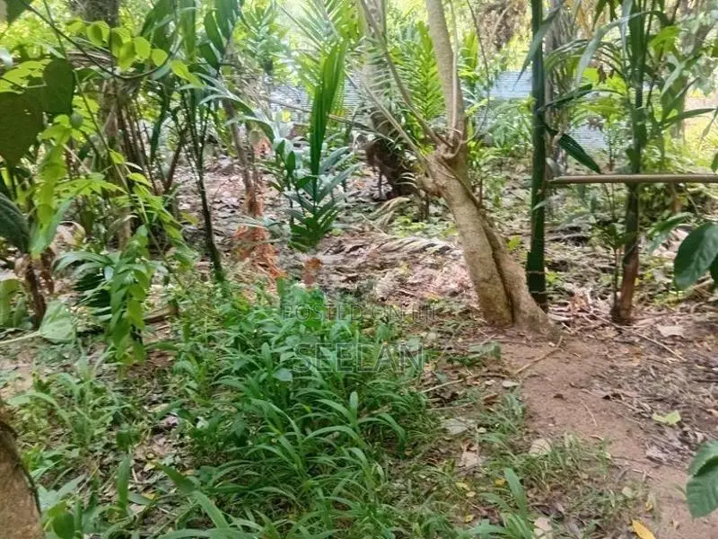 Land or Sale Monaragala