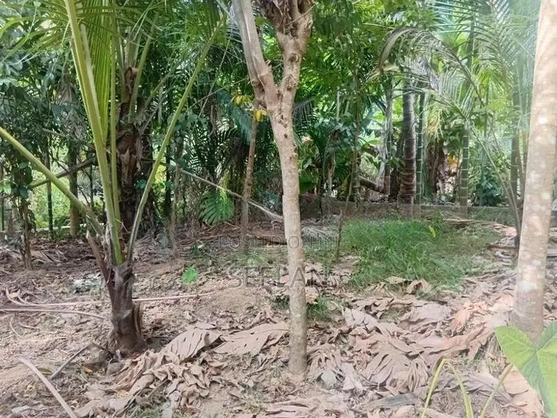 Land or Sale Monaragala