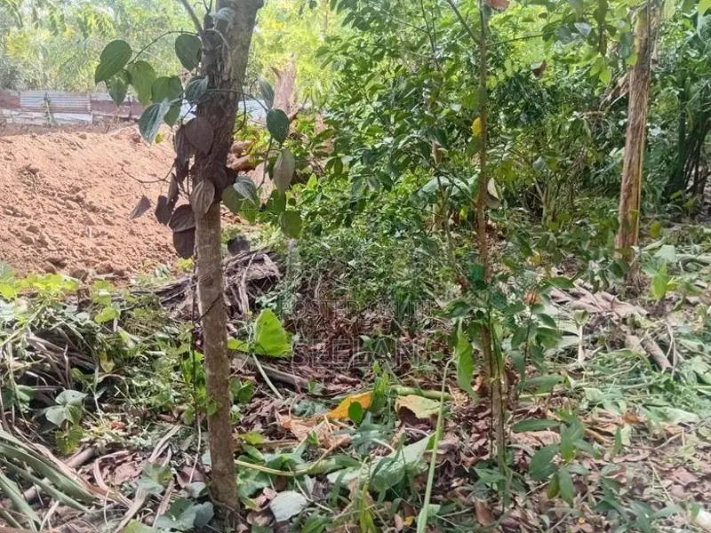 Land or Sale Monaragala
