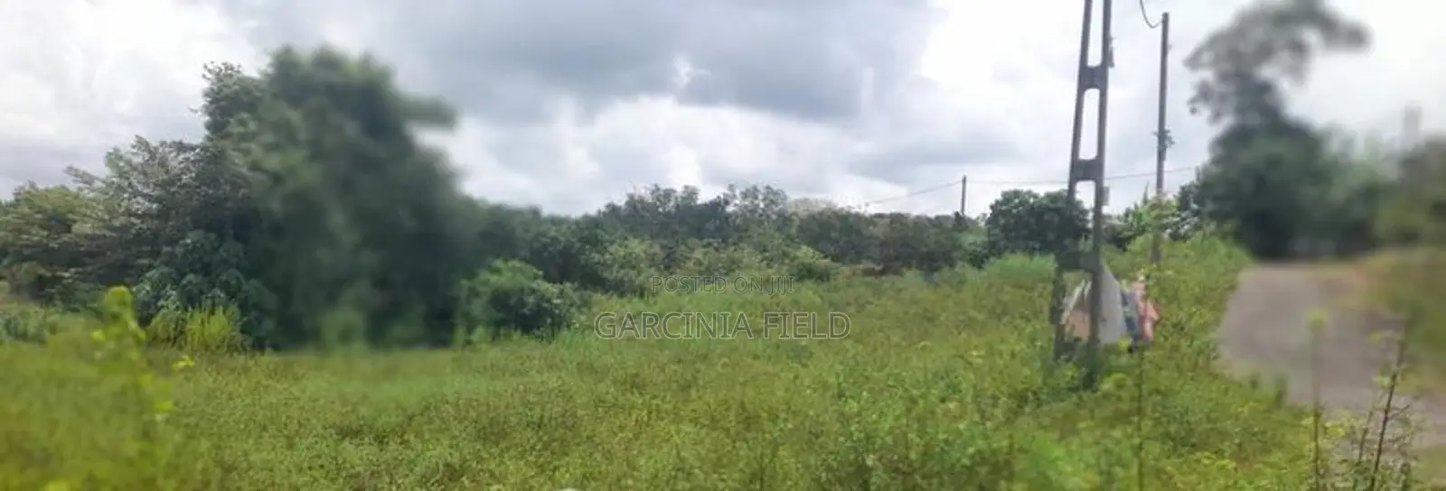 ආටිගල බටවල වෙලකට මායිම් ඉඩමක් විකිණීමට