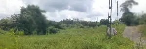 ආටිගල බටවල වෙලකට මායිම් ඉඩමක් විකිණීමට