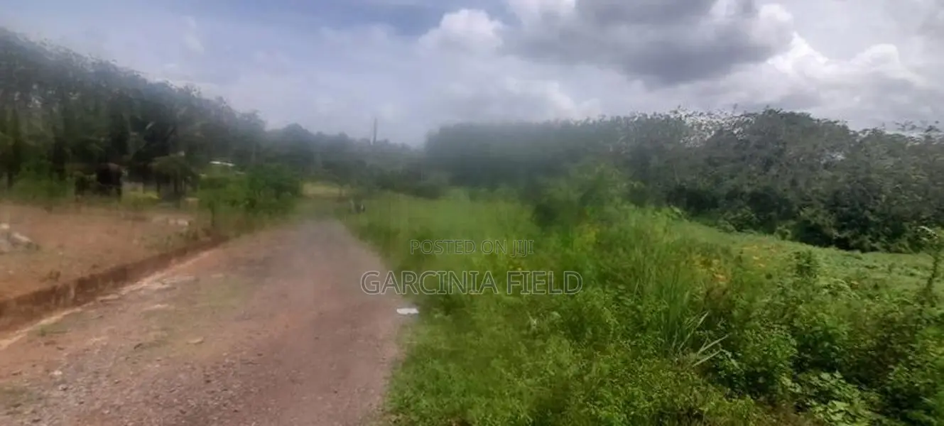 ආටිගල බටවල වෙලකට මායිම් ඉඩමක් විකිණීමට