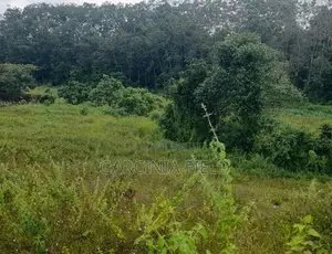 ආටිගල බටවල වෙලකට මායිම් ඉඩමක් විකිණීමට