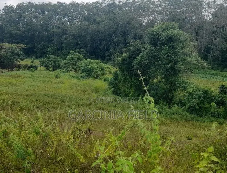 ආටිගල බටවල වෙලකට මායිම් ඉඩමක් විකිණීමට
