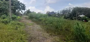 ආටිගල බටවල වෙලකට මායිම් ඉඩමක් විකිණීමට