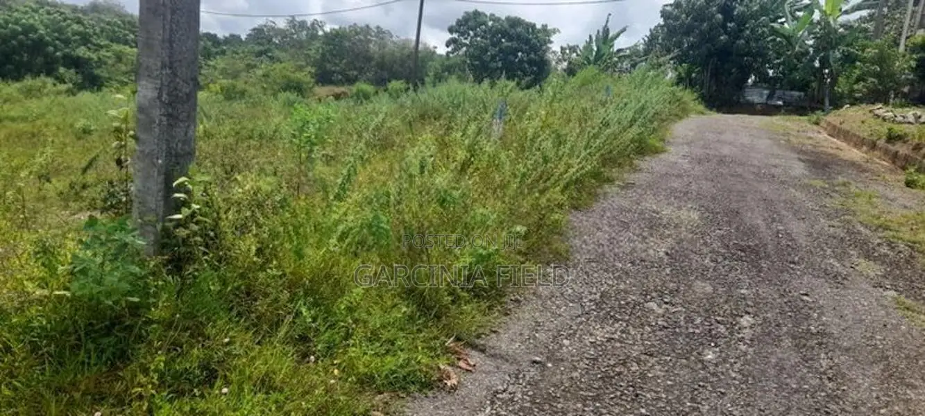 ආටිගල බටවල වෙලකට මායිම් ඉඩමක් විකිණීමට