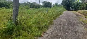 ආටිගල බටවල වෙලකට මායිම් ඉඩමක් විකිණීමට