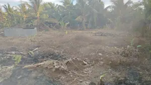 Land for Sale Kilinochchi