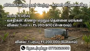 Land for Sale Kilinochchi