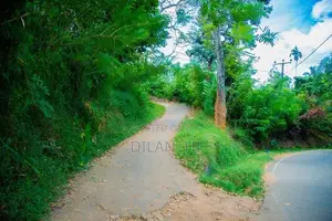 Land with Commercial Crops for Sale in Haputale, Haldummulla