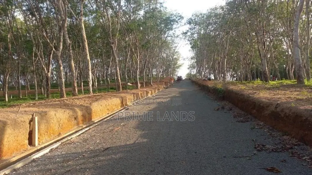 අහංගම සංචාරක කලාපයට ආසන්නව