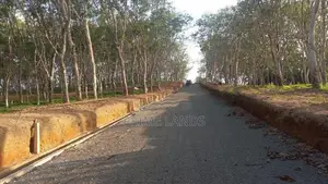 අහංගම සංචාරක කලාපයට ආසන්නව