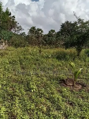 Kilinochchi Land Sale
