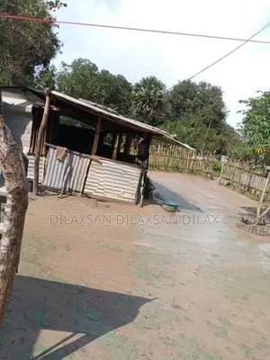 Kilinochchi Land Sale