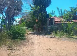 Beachside Land for Sale – 120 Perches | Arugam Bay,Panama