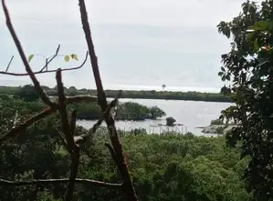 Beachside Land for Sale – 120 Perches | Arugam Bay,Panama