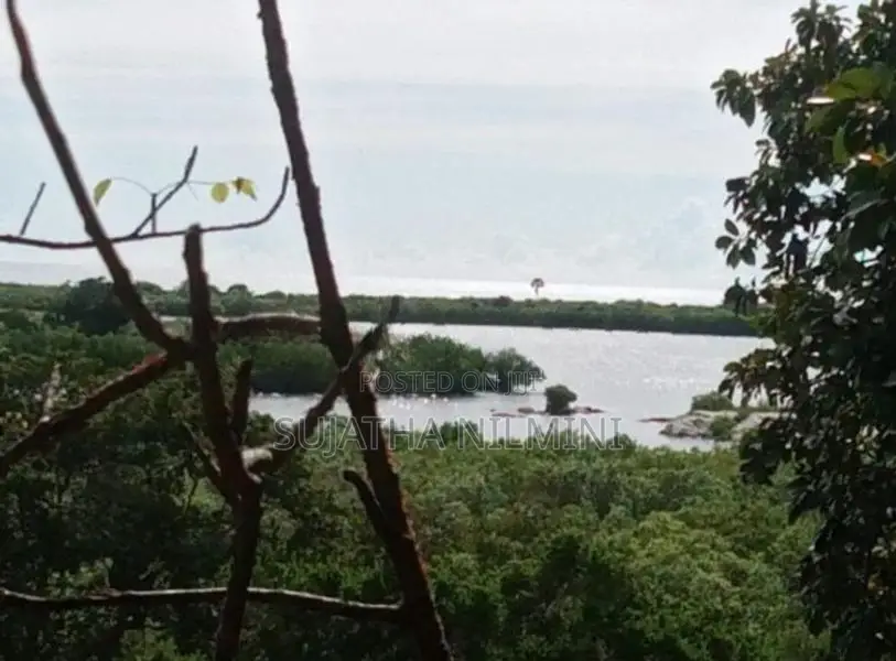 Beachside Land for Sale – 120 Perches | Arugam Bay,Panama