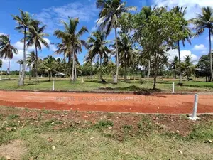 අනුරාධපුර නාච්චාදූවෙන් සින්නක්කර බිම්කොටස් විකිණීමට