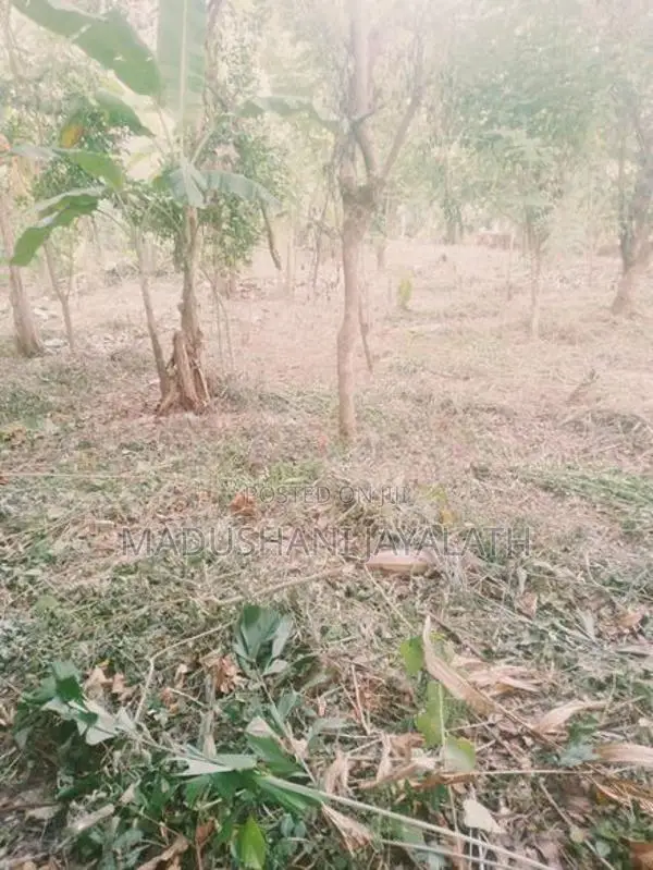 Land for Sale Monaragala Town