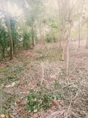 Land for Sale Monaragala Town