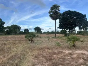 Land for Sale Vavuniya
