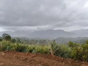 Land Sale – Doluwa, Kandy