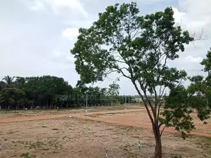 මහබුලංකුලම වැවට යාබදව සින්නක්කර බිම්කොටස් විකිණීමට