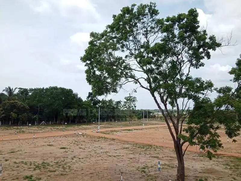 මහබුලංකුලම වැවට යාබදව සින්නක්කර බිම්කොටස් විකිණීමට