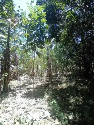 පර්චස් 34 අගනා ඉඩමක් - වැල්ලවාය