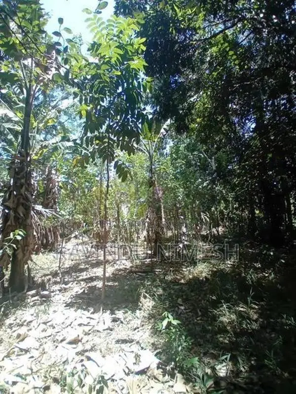 පර්චස් 34 අගනා ඉඩමක් - වැල්ලවාය