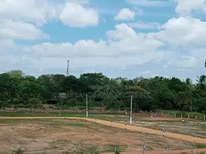මහබුලංකුලම වැවට යාබදව සින්නක්කර බිම්කොටස් විකිණීමට
