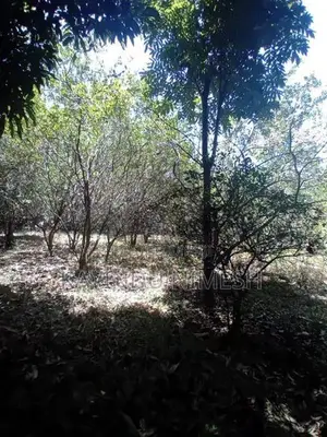 පර්චස් 34 අගනා ඉඩමක් - වැල්ලවාය