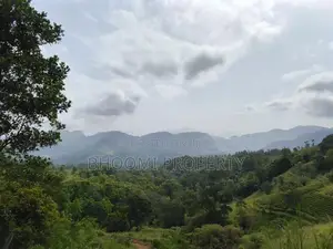 Land Sale – Doluwa, Kandy