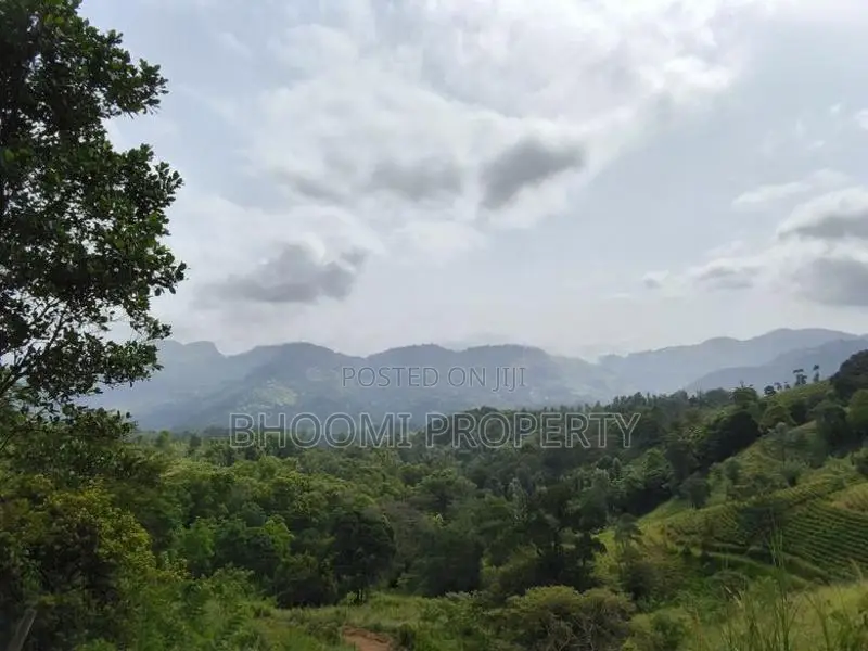 Land Sale – Doluwa, Kandy