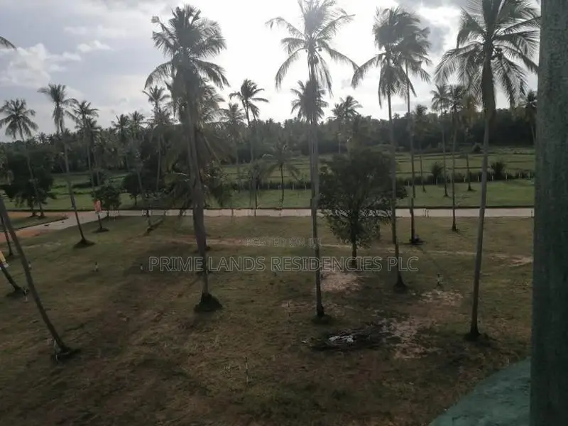 වාරියපොළ නගරයෙන්ම සින්නක්කර බිම්කොටස් විකිණීමට