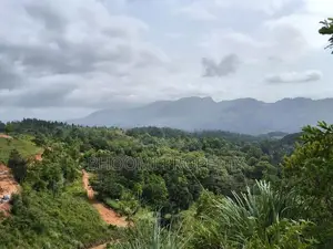 ඉඩමක් විකිණීමට – දොළුව, මහනුවර