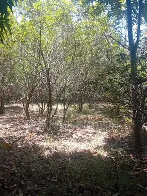 පර්චස් 34 අගනා ඉඩමක් - වැල්ලවාය