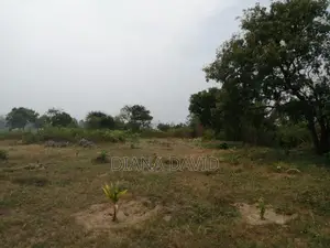 Beach Front Land For Sale