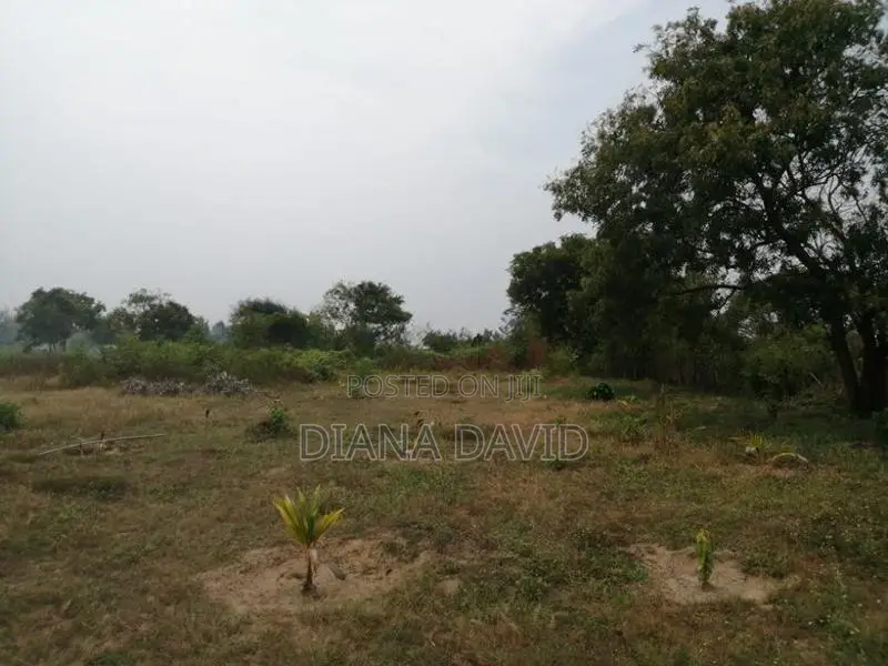 Beach Front Land For Sale