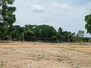 මහබුලංකුලම වැවට යාබදව සින්නක්කර බිම්කොටස් විකිණීමට