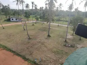 වාරියපොළ නගරයෙන්ම සින්නක්කර බිම්කොටස් විකිණීමට
