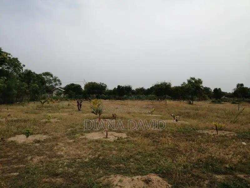 Beach Front Land For Sale