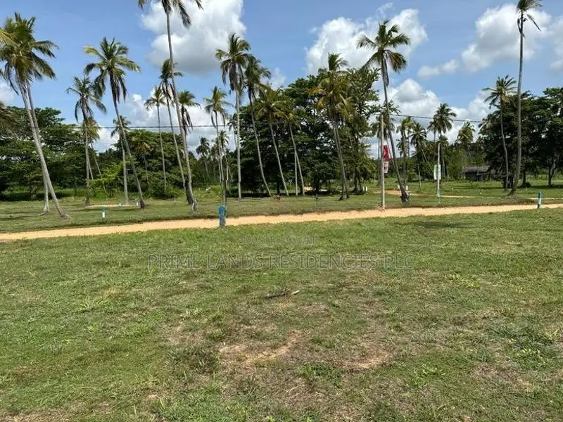 වාරියපොළ නගරයෙන්ම සින්නක්කර බිම්කොටස් විකිණීමට