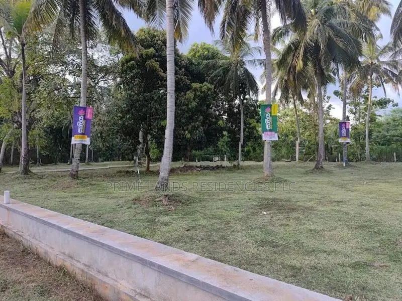 අනුරාධපුර සාලියමාවතෙන් සින්නක්කර බිම්කොටස් විකිණීමට